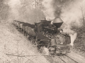 Zug der Waldeisenbahn 1976